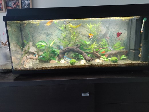 120L