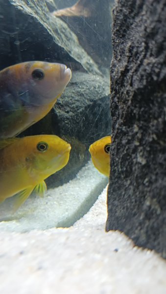 IMG20220130181911.jpg
