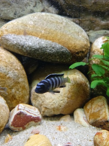 IMG20220201183750.jpg