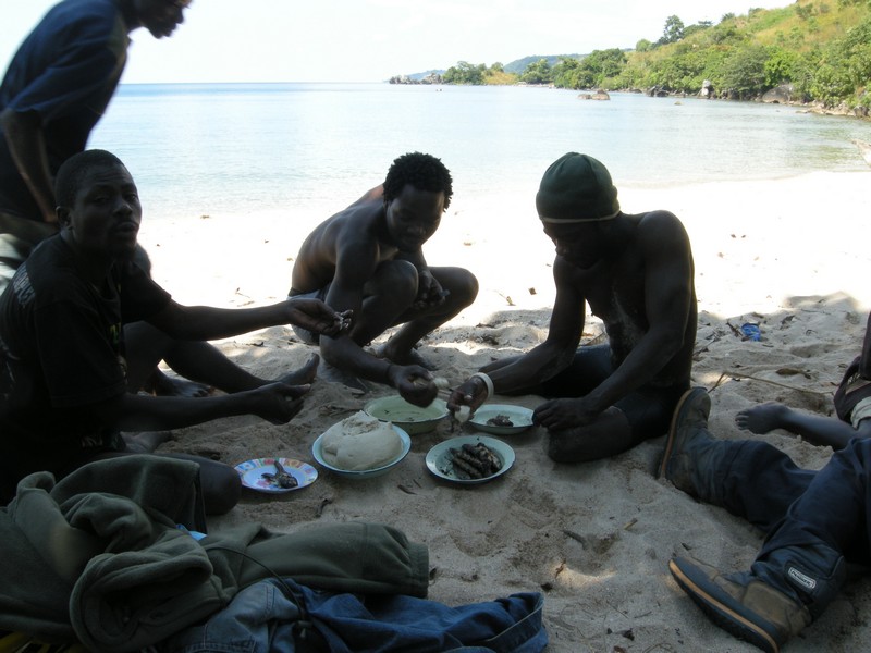 repas msima et champo