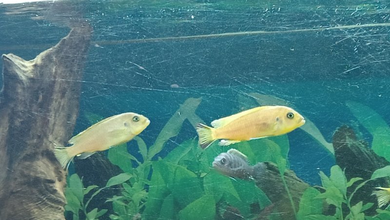 IMG20220607191209.jpg