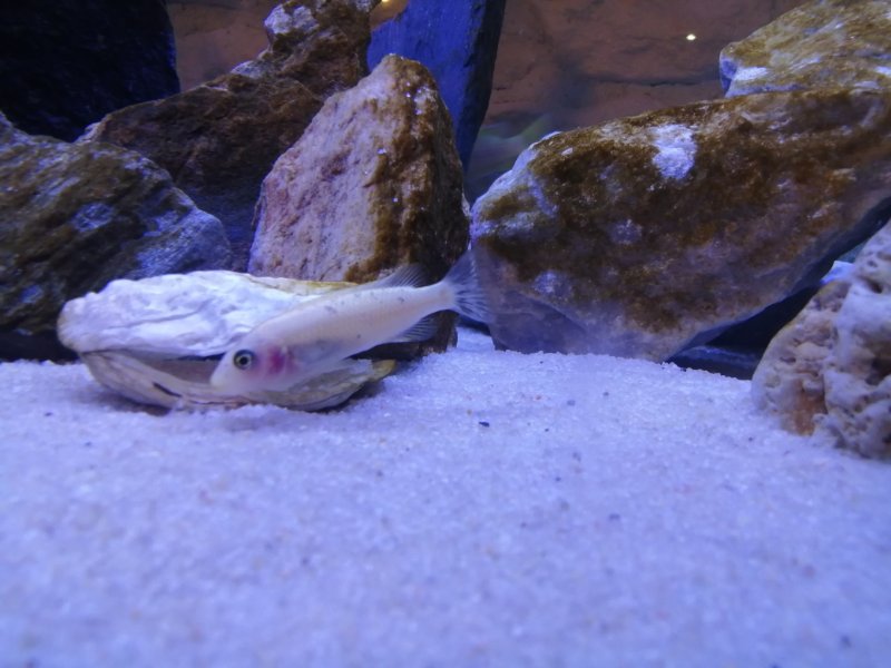 IMG_20220620_213141.jpg