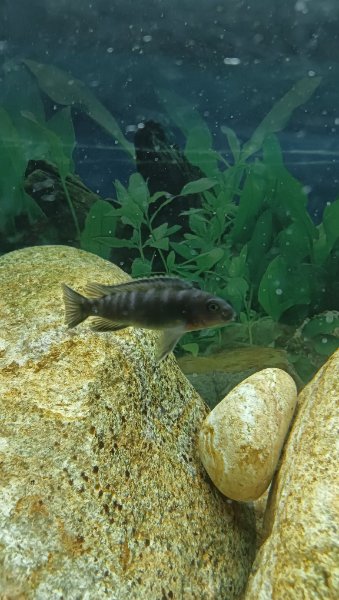 IMG20220309210205.jpg