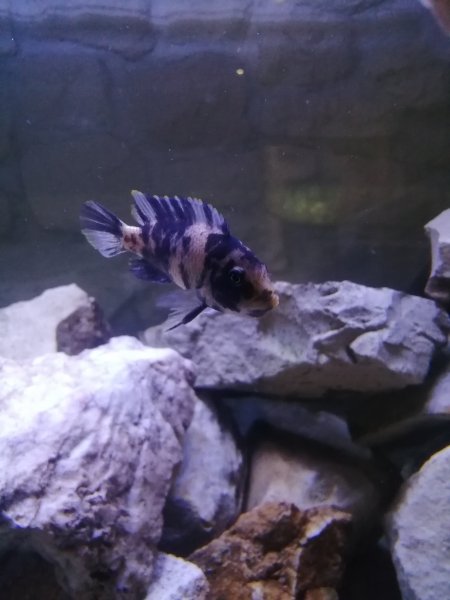 IMG_20221019_201207.jpg