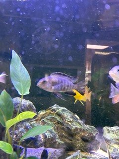 image_67182337 Petite.jpeg