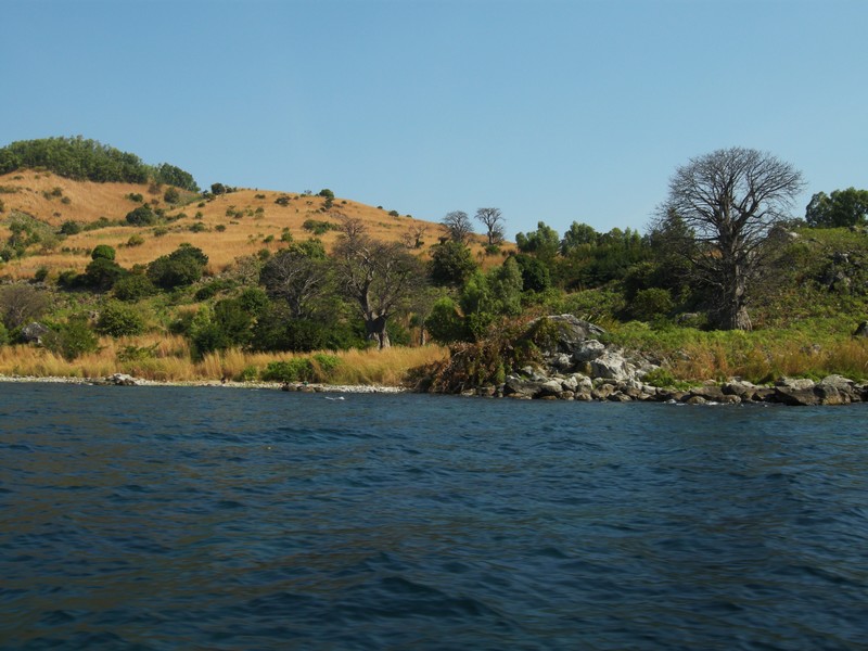 chizumulu (3).jpg