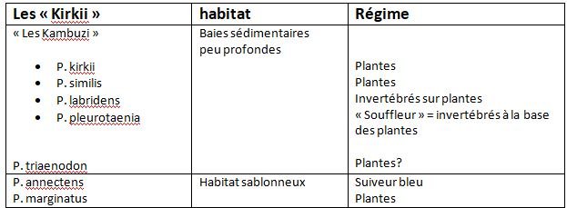 Protomelas groupe kirkii.JPG