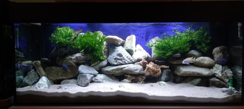 mon 450l