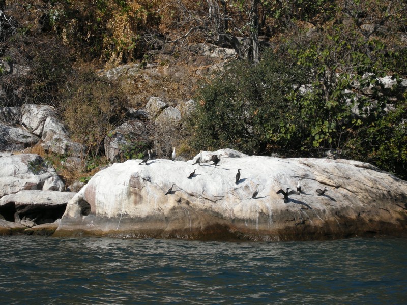 namalenje island 007.jpg