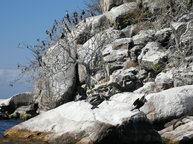 namalenje island 010.jpg