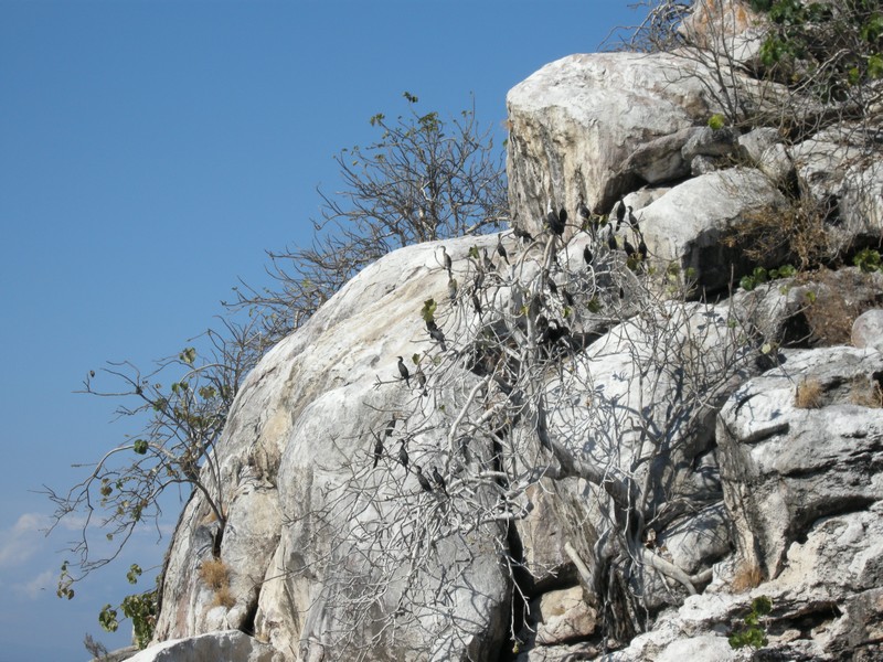 namalenje island 011.jpg
