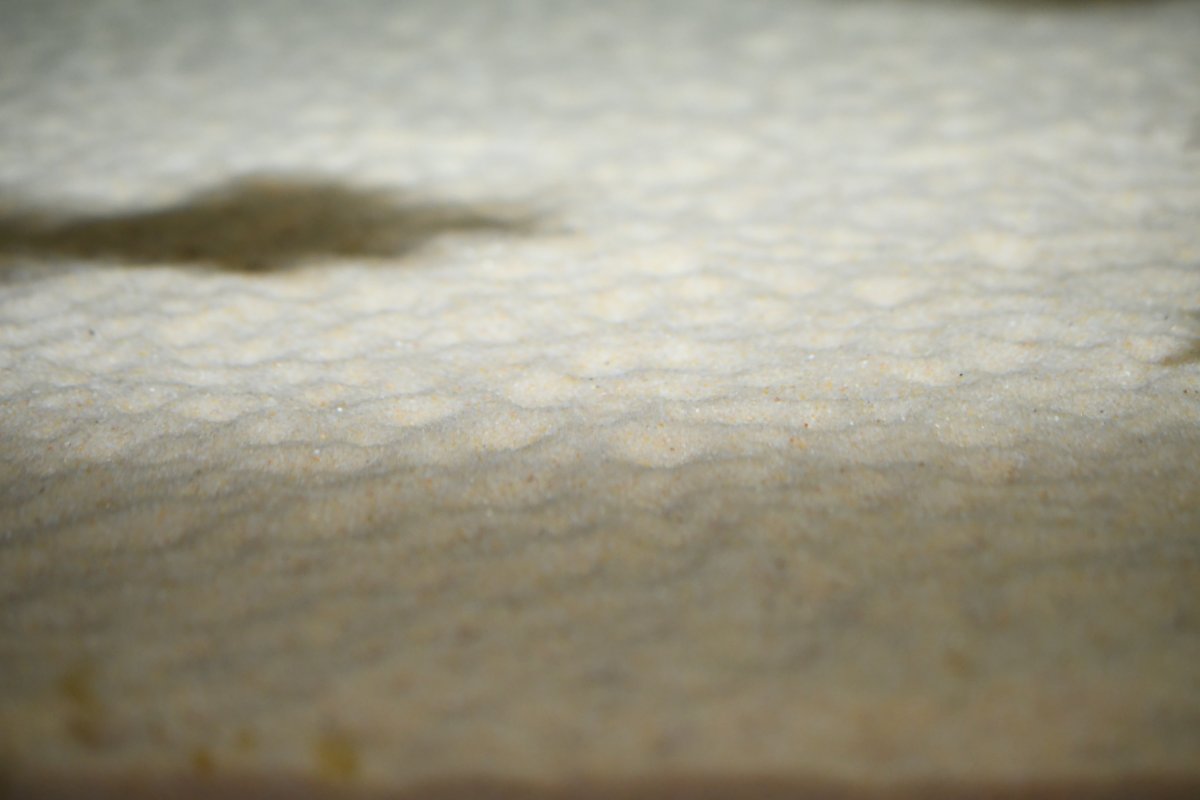 sable dans un bac de Lethrinops