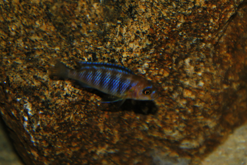 DSC06213.jpg