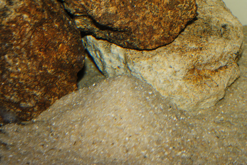 DSC06185.jpg