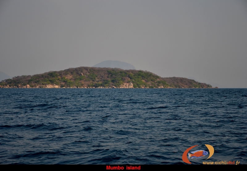 Mumbo-island.JPG