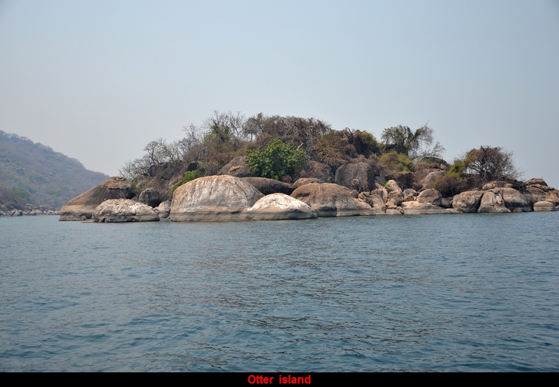 Otter island.JPG