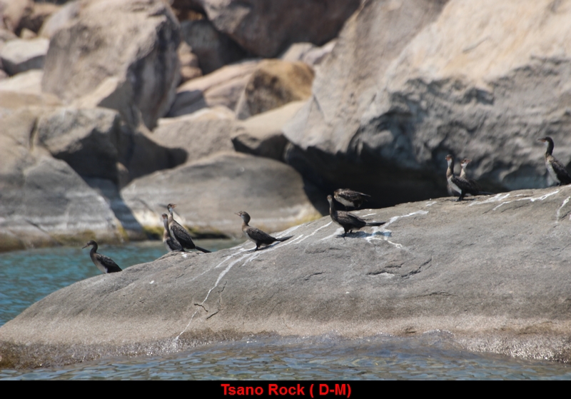 Tsano rock3.JPG