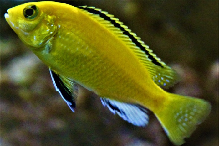 387364IMG5516bis.jpg