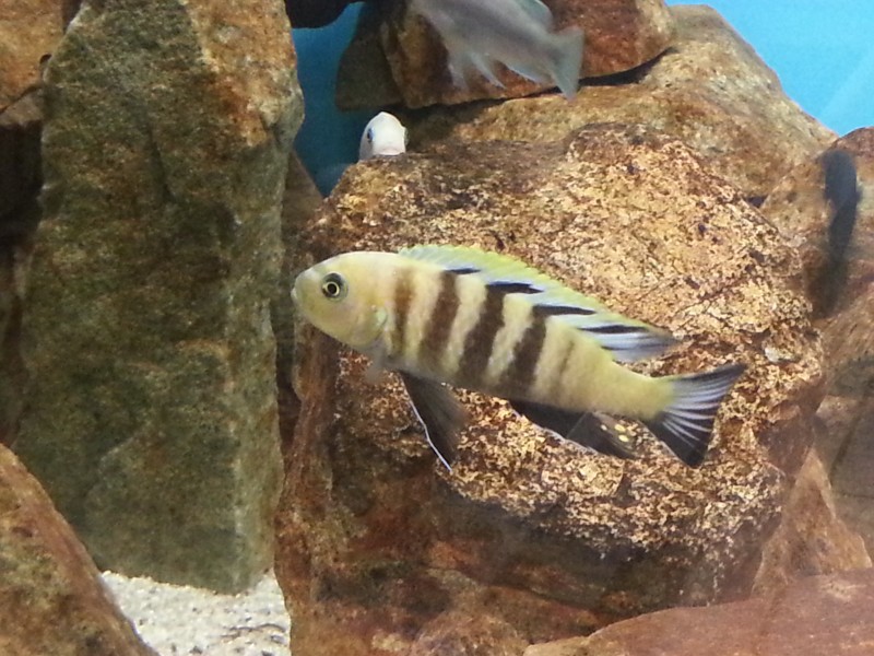 20150421_192727.jpg