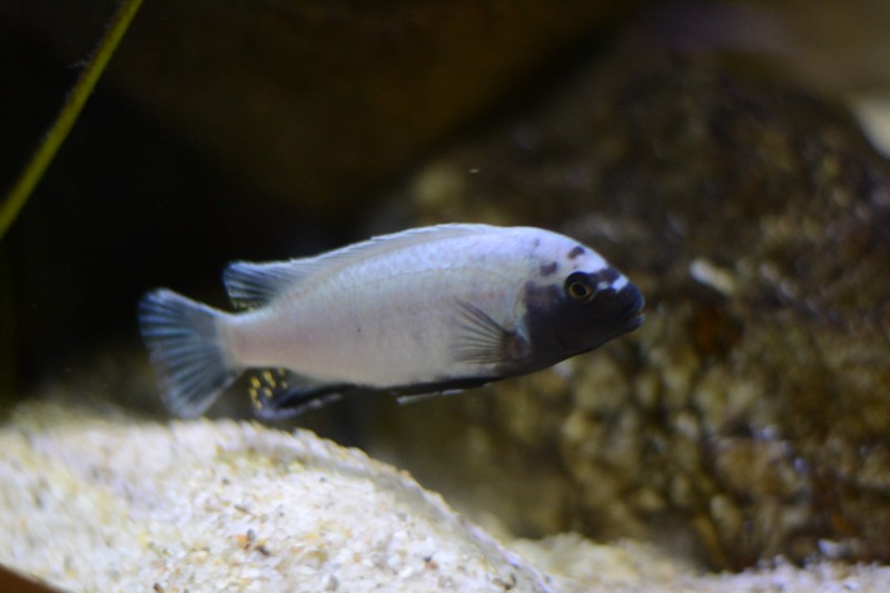DSC_9262.JPG