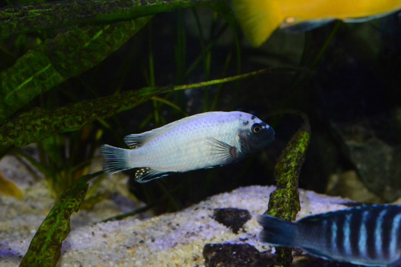 DSC_9390.JPG