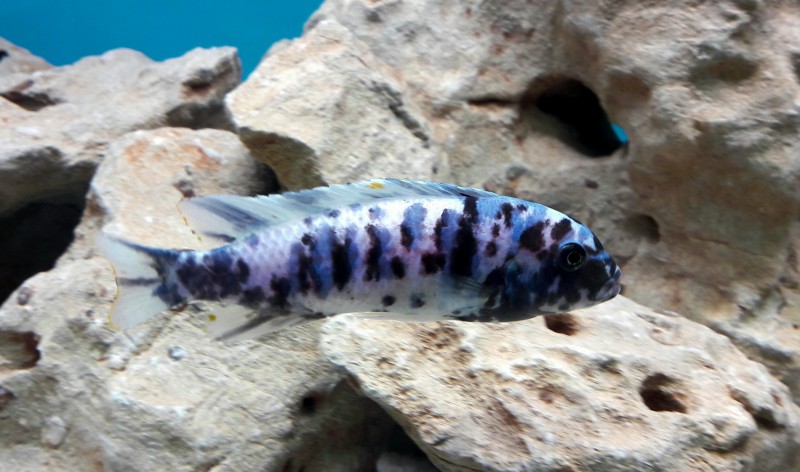 20180620_144953.jpg