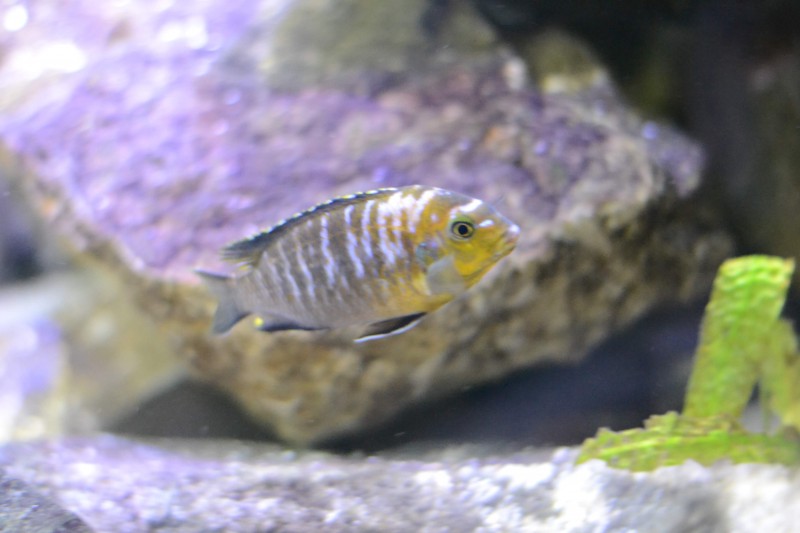 DSC_9993.JPG