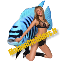 Avatar de l’utilisateur